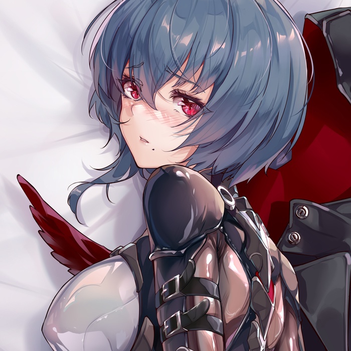 芽衣&ワタリガラス 抱き枕カバー 全年齢Ver.