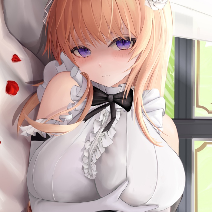 高町なのは メイドVer. 抱き枕カバー 全年齢Ver. キャンペーン色紙付き