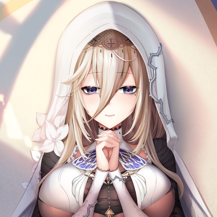 アポニア 抱き枕カバー 全年齢Ver. キャンペーン色紙付き