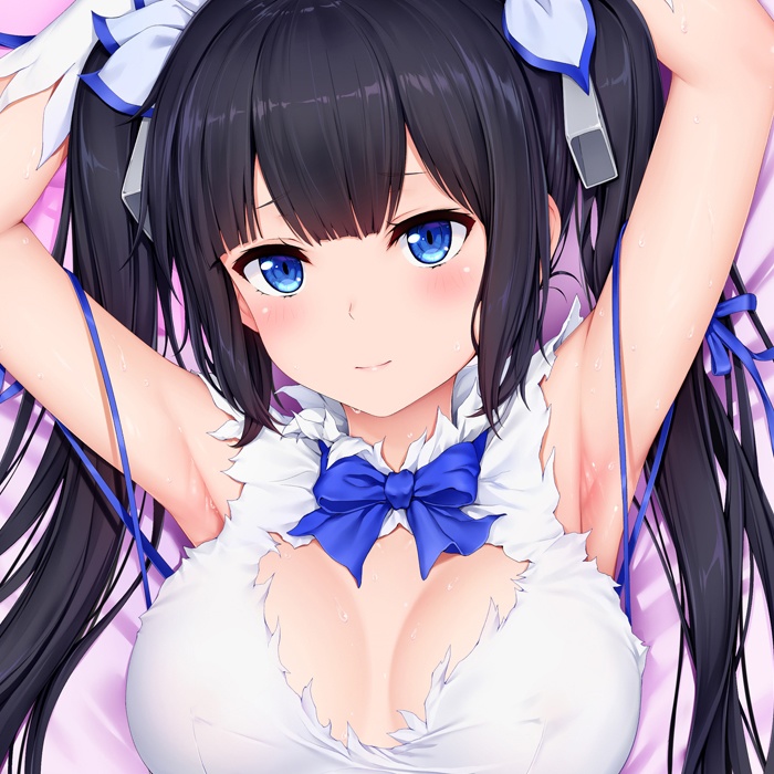 ヘスティア 抱き枕カバー 全年齢Ver. キャンペーン色紙付き