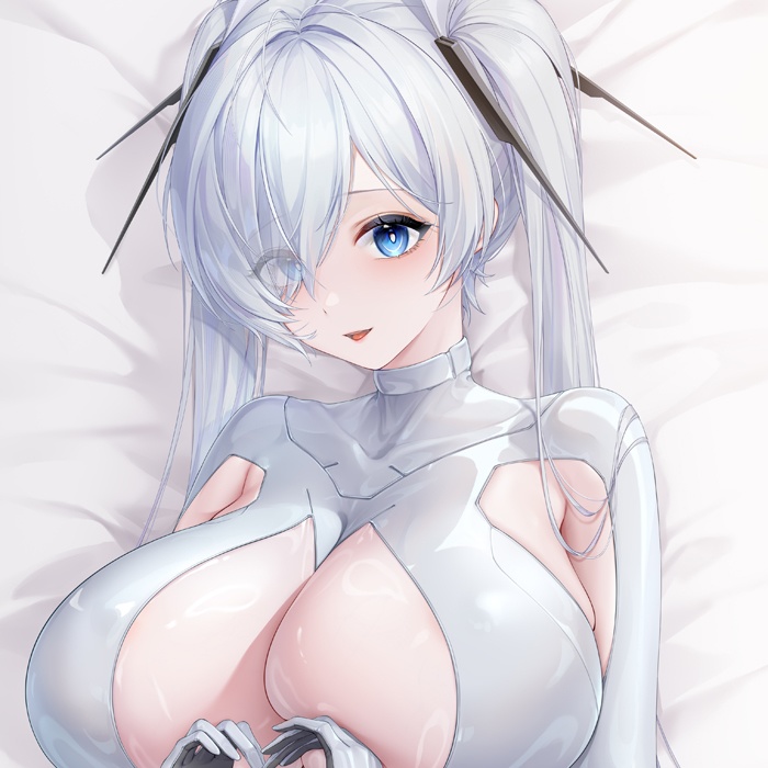 シンデレラ 抱き枕カバー 全年齢Ver.