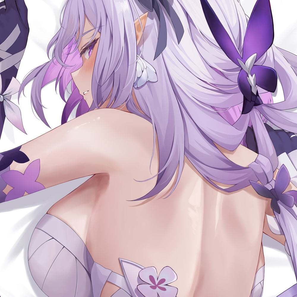 キャストリス 抱き枕カバー 全年齢Ver. キャンペーン色紙付き