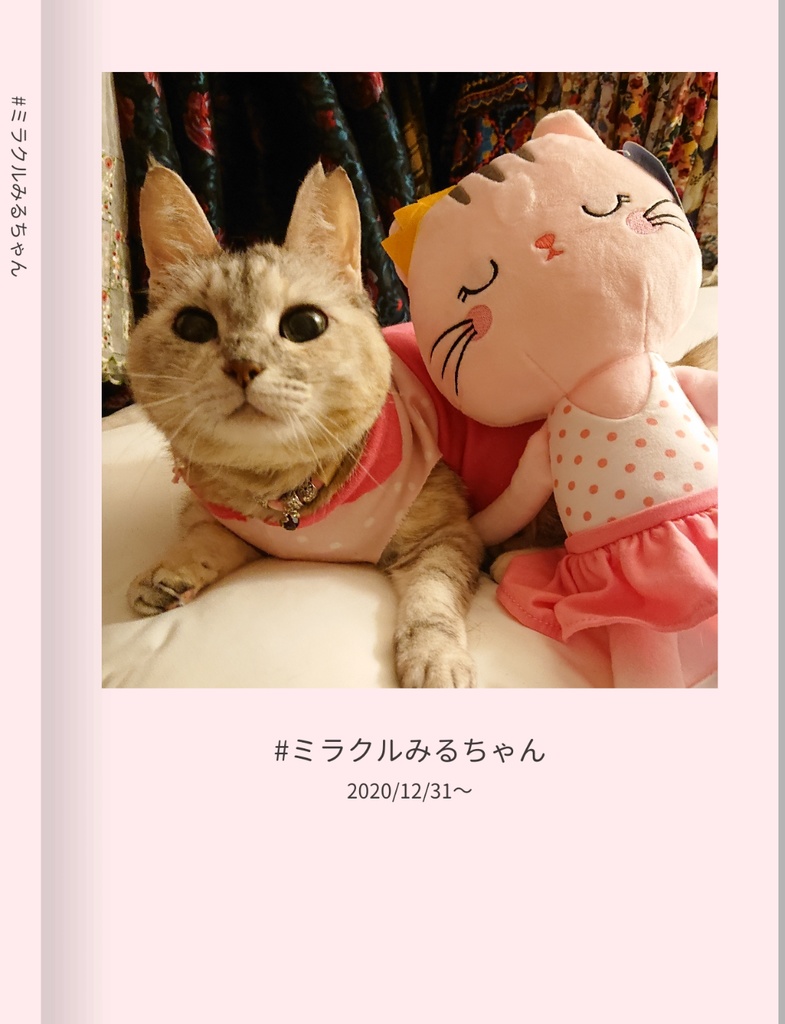 #ミラクルみるちゃん ①