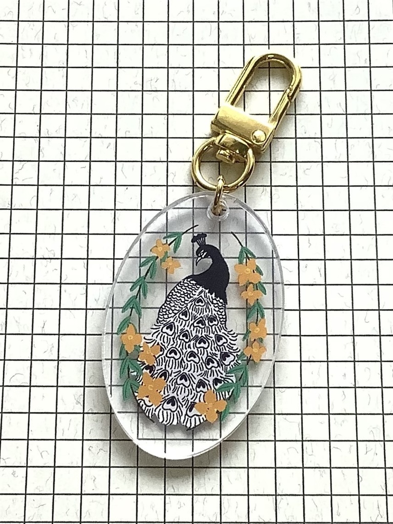 アショカ王 概念アクキー