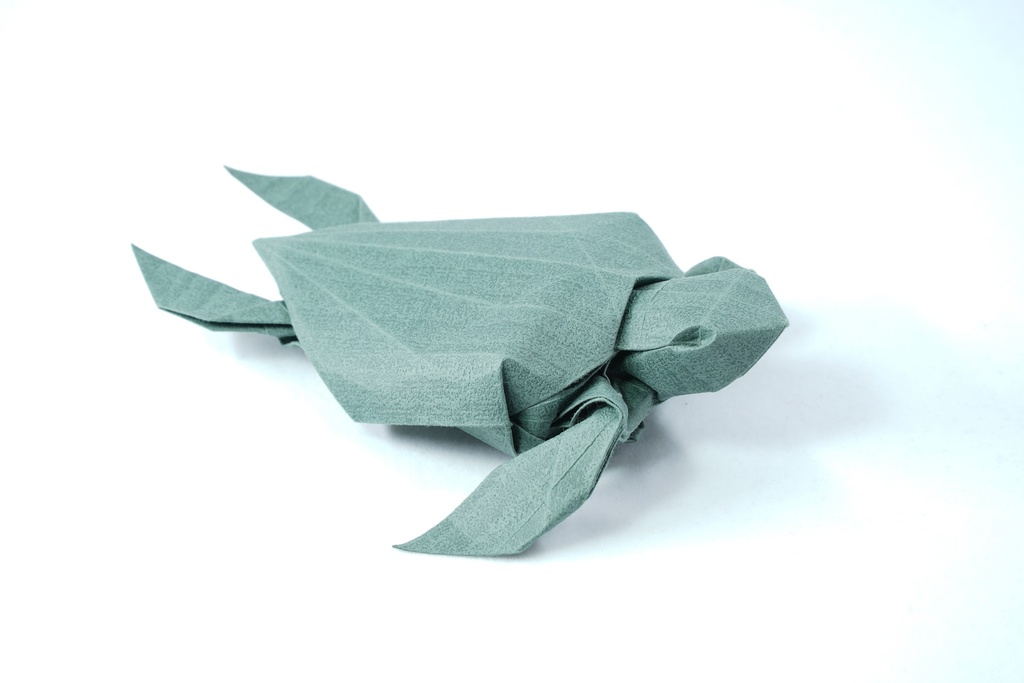 Crease Pattern–Leatherback Sea Turtle
