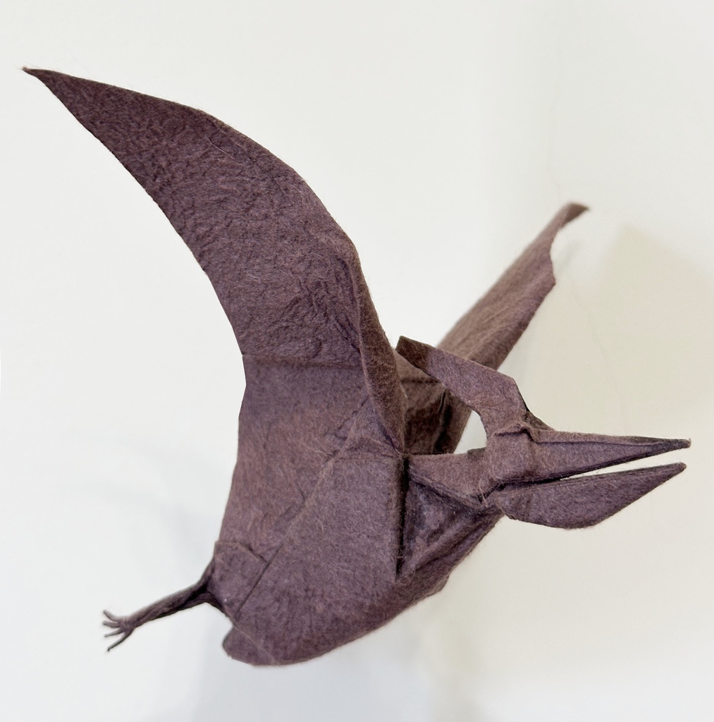Crease Pattern–Pteranodon