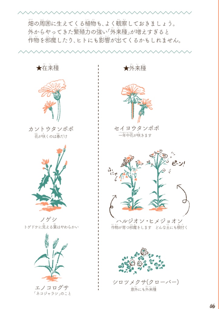 妖夢のすてきな庭師びより