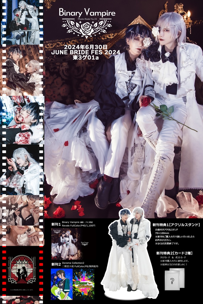【極希少】Vampire Falken Xmas DVD +直筆サイン入り生写真 美少女プラモ》V.F.G ランカ・リー VF-25F MESSIAH マクロス40th