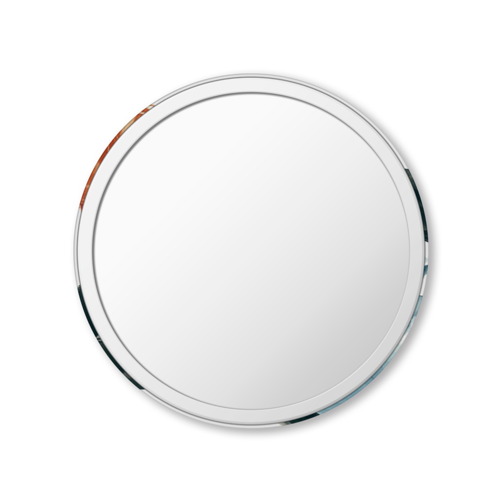 ロンタイBABY チャコと緋郎 ミラー