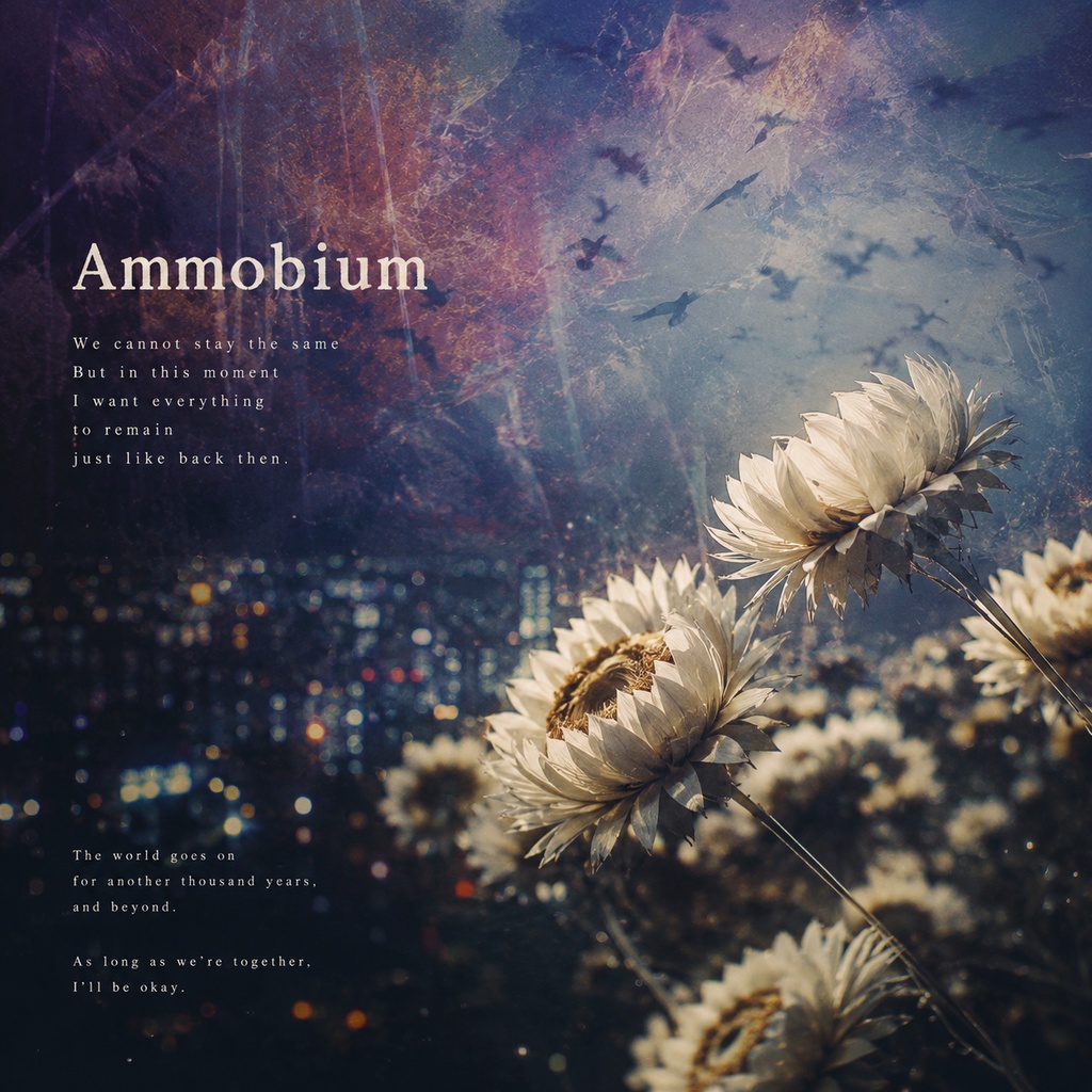 Ammobium