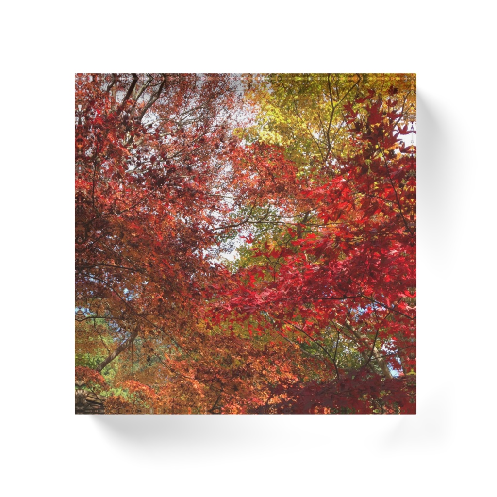 紅葉アクリルブロック