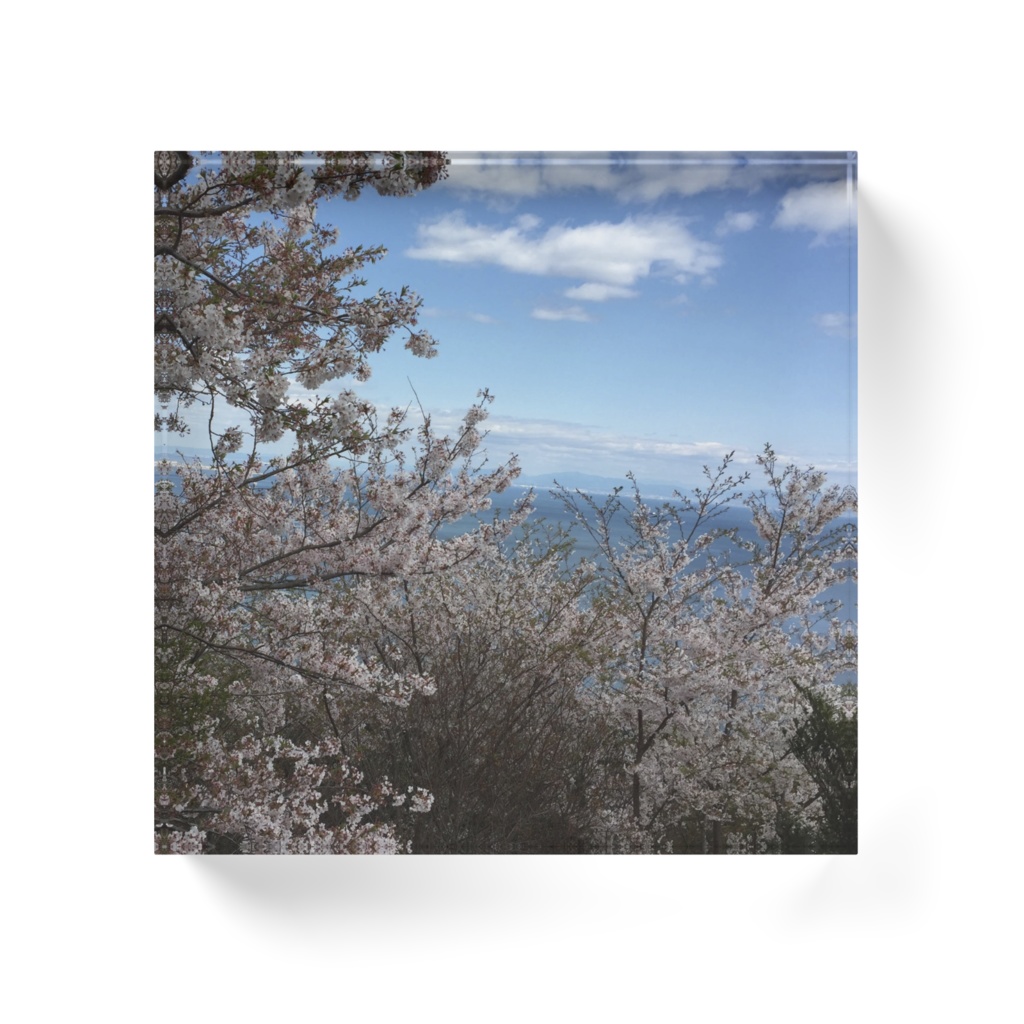 桜アクリルブロック
