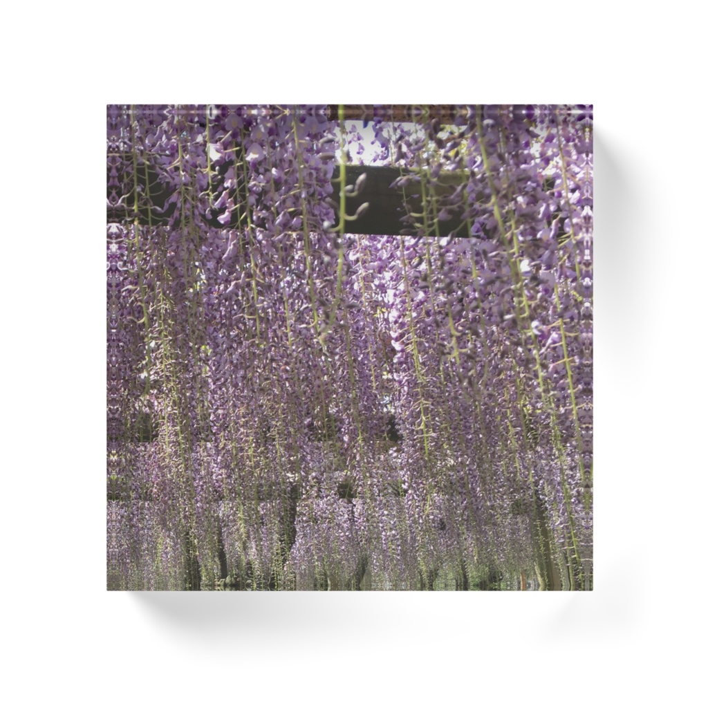 藤棚アクリルブロック