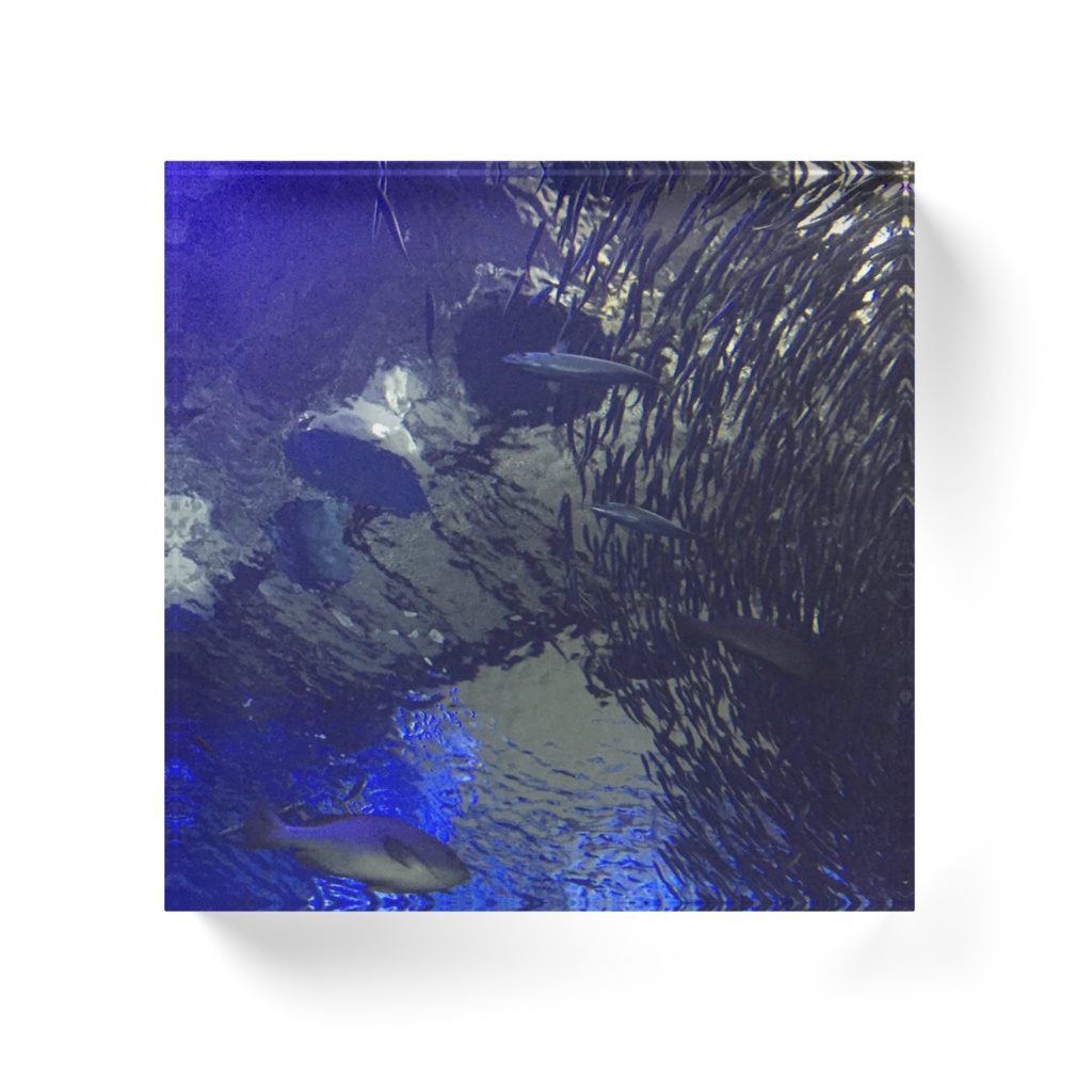 鰯の群れアクリルブロック