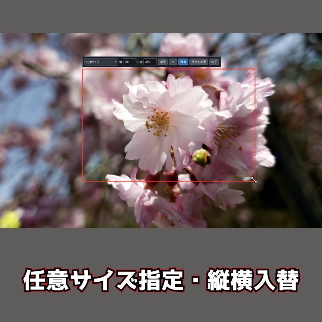 【無料DLあり】スクリーンショットツール|固定サイズ・自由範囲で簡単キャプチャ