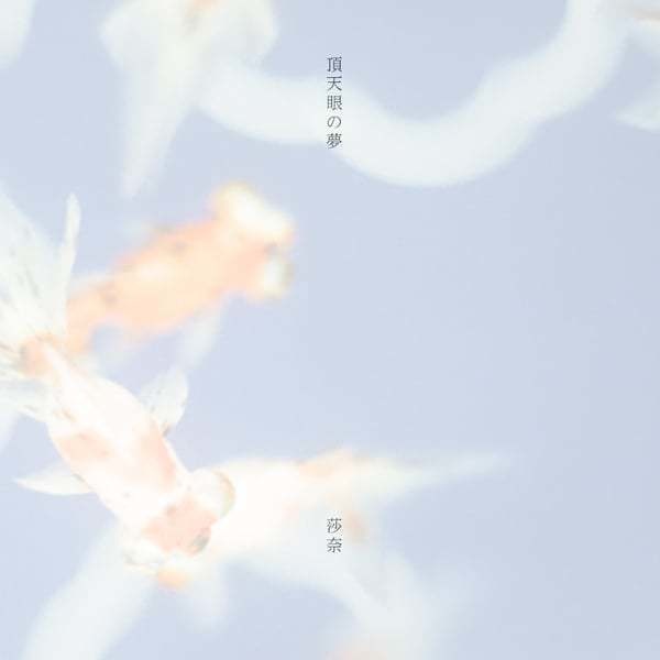 頂天眼の夢【小説】