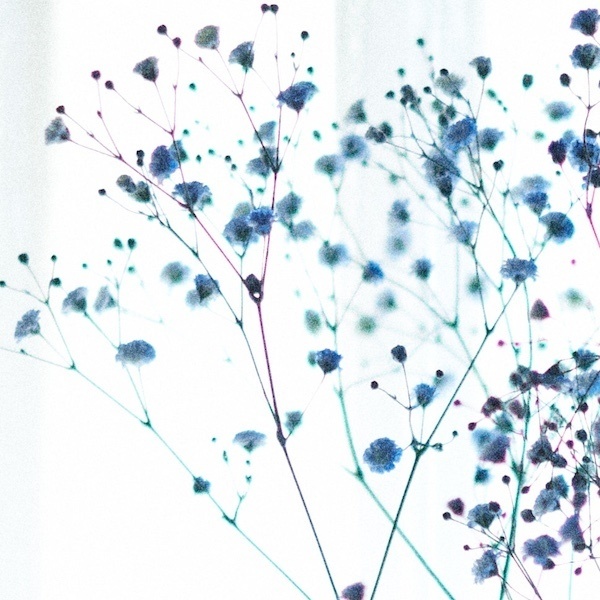 レモン【小説】