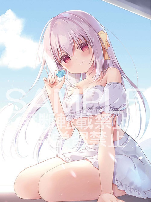 【特装版】『Moelleux Mignon -宮坂なこ画集-』 ケース、小冊子付き【4550687145151】