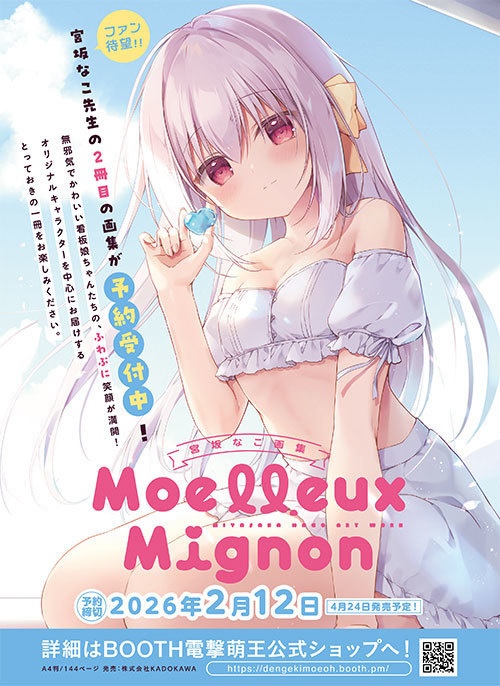 【豪華版】『Moelleux Mignon -宮坂なこ画集-』ケース、小冊子、B2タペストリー付き【4550687145144】