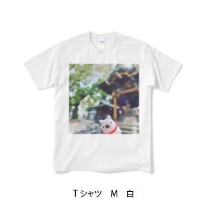 豆犬さんぽ/おまいり