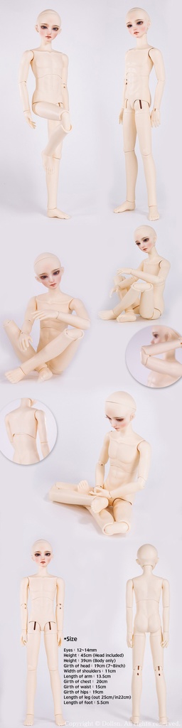 球体関節人形 ノア MSD 1/4 45cm