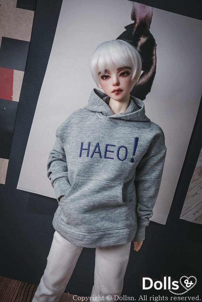 フード付きTシャツグレー 1/4 MSD