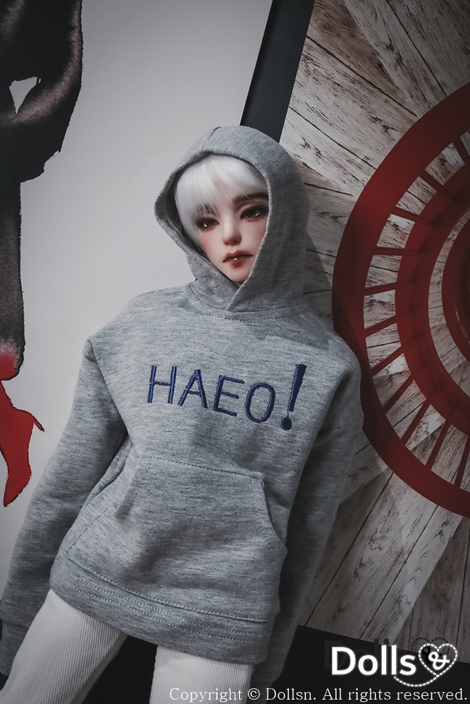 フード付きTシャツグレー 1/4 MSD