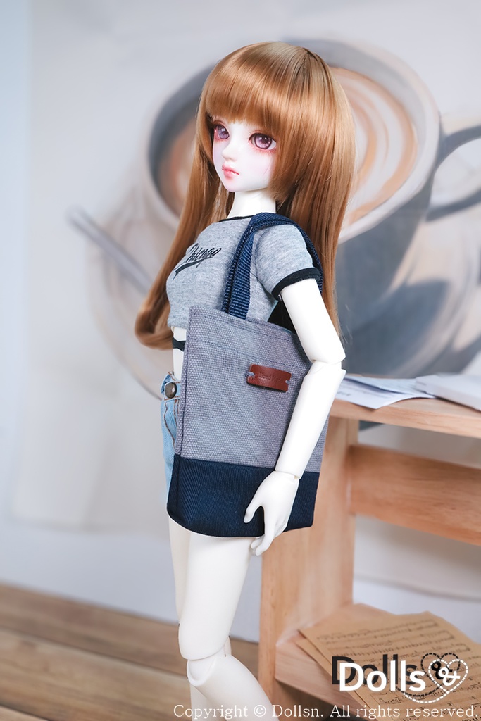 エコバックグレー 1/4 MSD