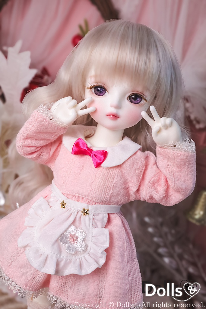 アンバー 限定 フルセット