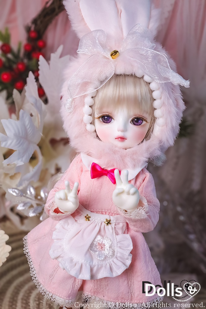 アンバー 限定 フルセット