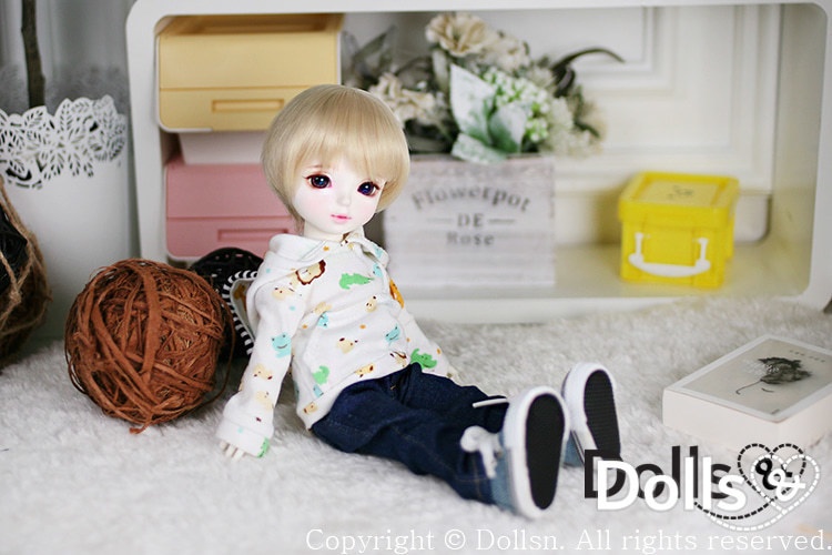 動物園フード付きT 1/6 USD