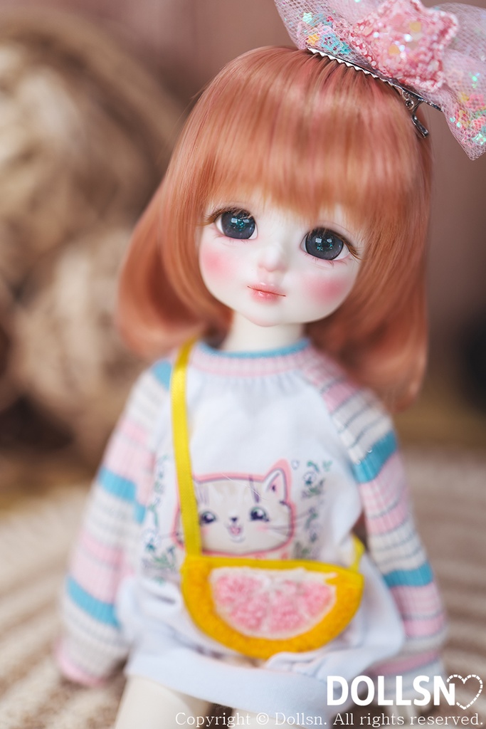 パステルキャットセット 1/6 USD