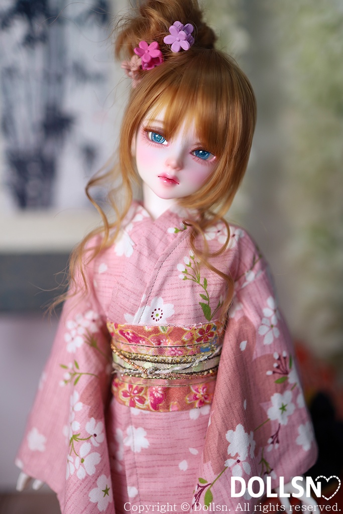着物 1/4 MSD