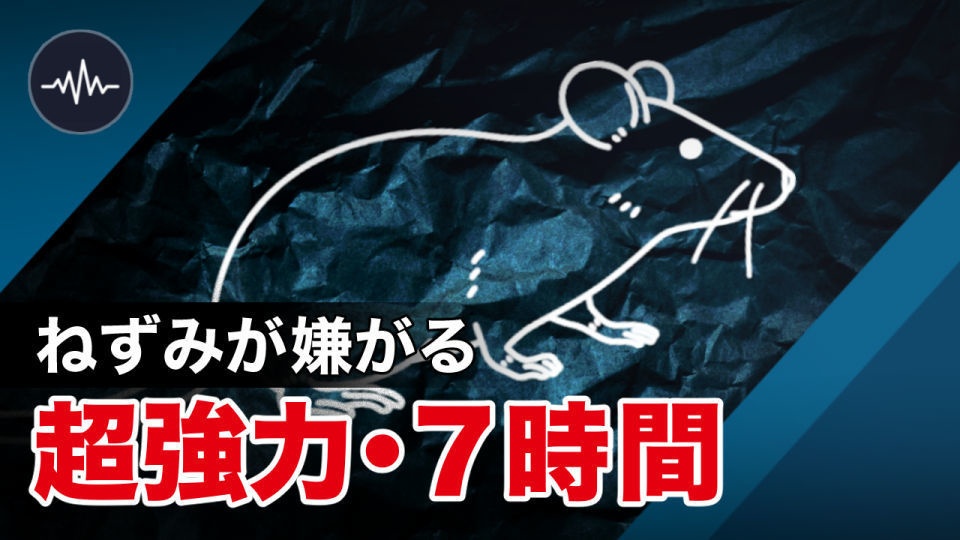 【7時間】ネズミ・ハクビシンが嫌がるモスキート音・ノイズ音