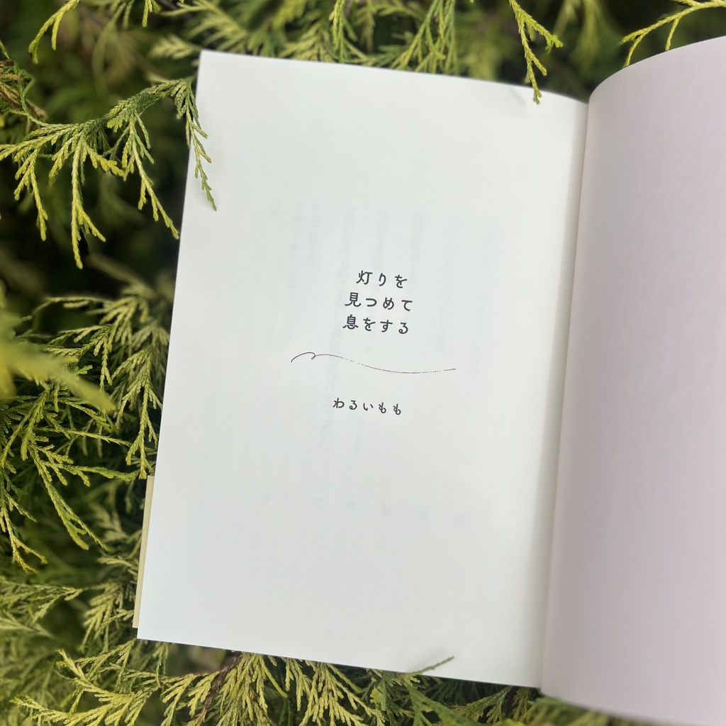 灯りを見つめて息をする