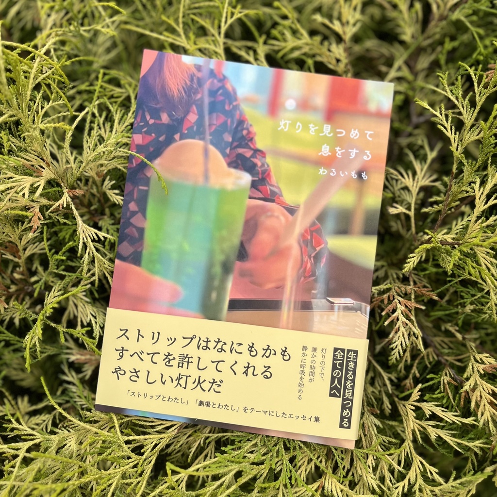 灯りを見つめて息をする　