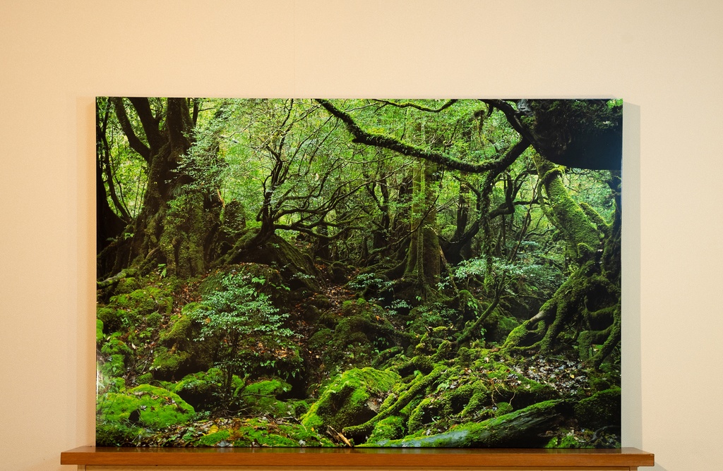 「緑の底 The bottom of green」 アルミ複合版パネル A0 (841×1189mm) 2019年作成