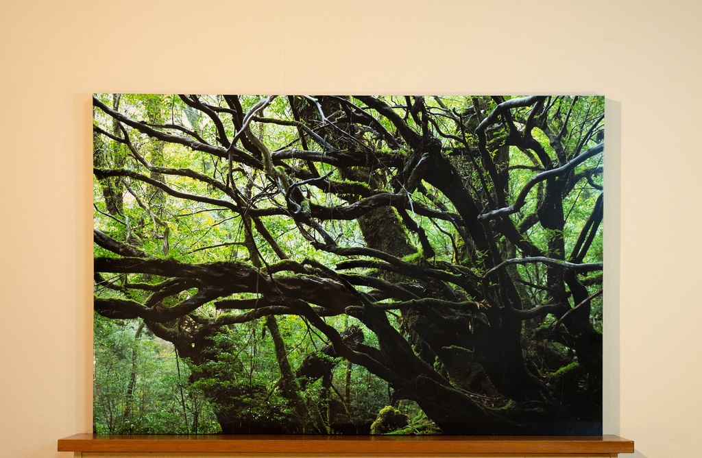 「森脈 Pulse of forest」木製パネル 全倍 (600×900) 2019年作成