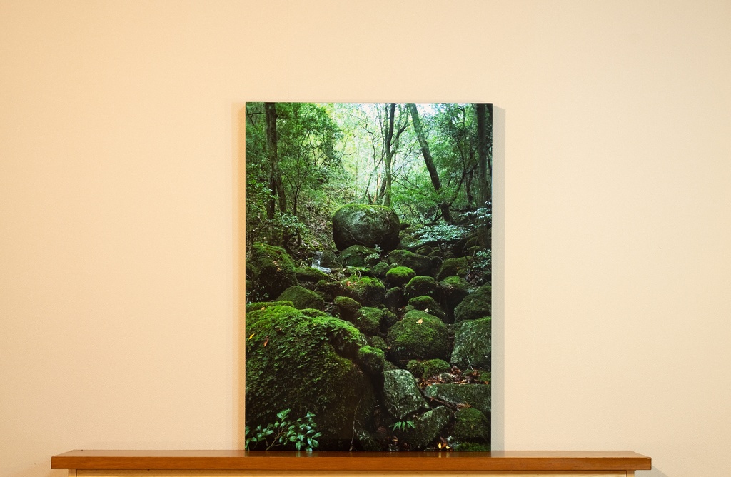 「岩の住処 Den of rocks」  木製パネル A2 (420×594)   2019年作成