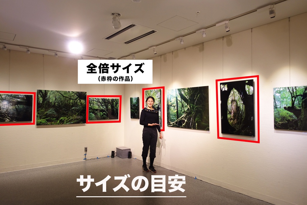 「カメオ Cameo」 木製パネル 全倍 (600×900) 2019年作成