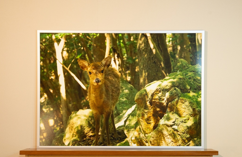 「きみは誰? Who are you?」 アルミフレーム A1 (841X594) 2017年作成