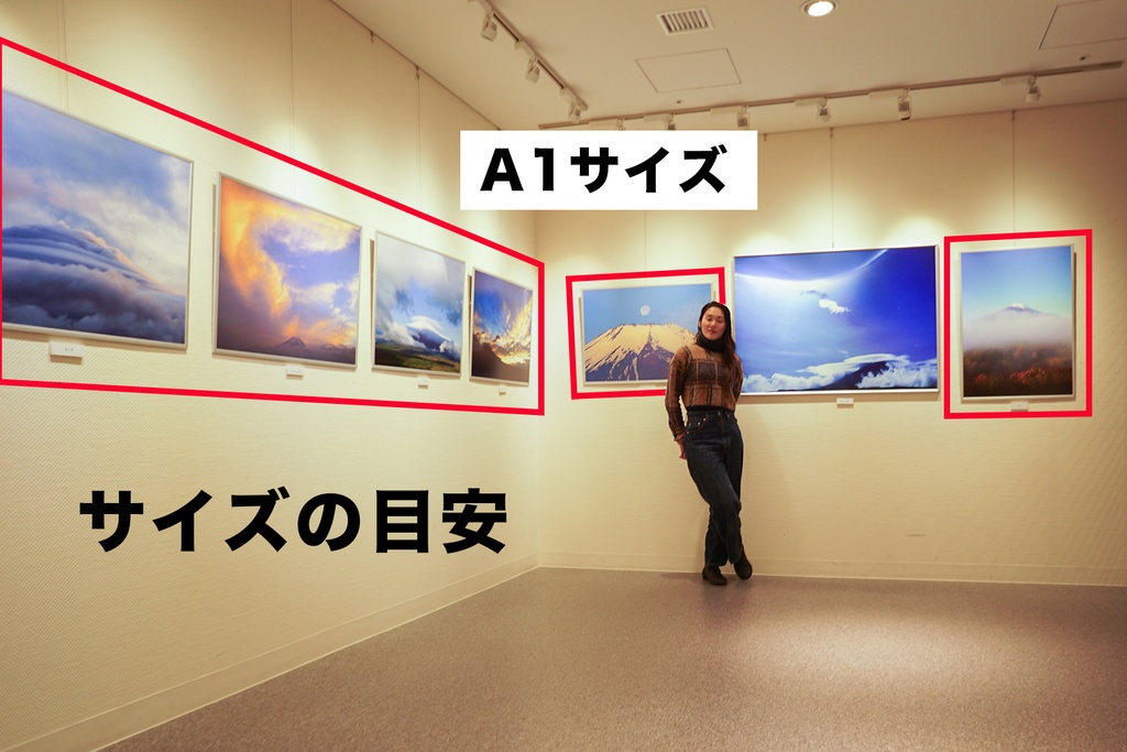 「森鏡 Mirror of forest」 アルミフレーム A1 (841X594) 2017年作成