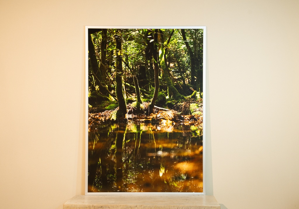 「水たまりのほとり By the Puddle」アルミフレーム A1 (841X594mm) 2017年作成