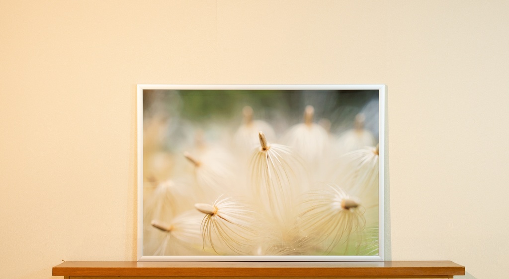 「ふわふわの巣 Nest of Fluffy」アルミフレーム サイズ A2 (594X420mm) 2017年作成