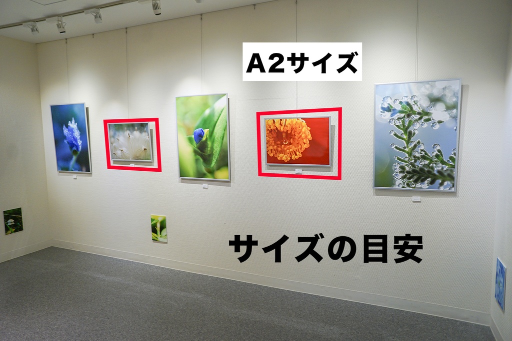 「蔦ステンドグラス Ivy stained glass」アルミフレーム A2 (594X420mm) 2017年作成