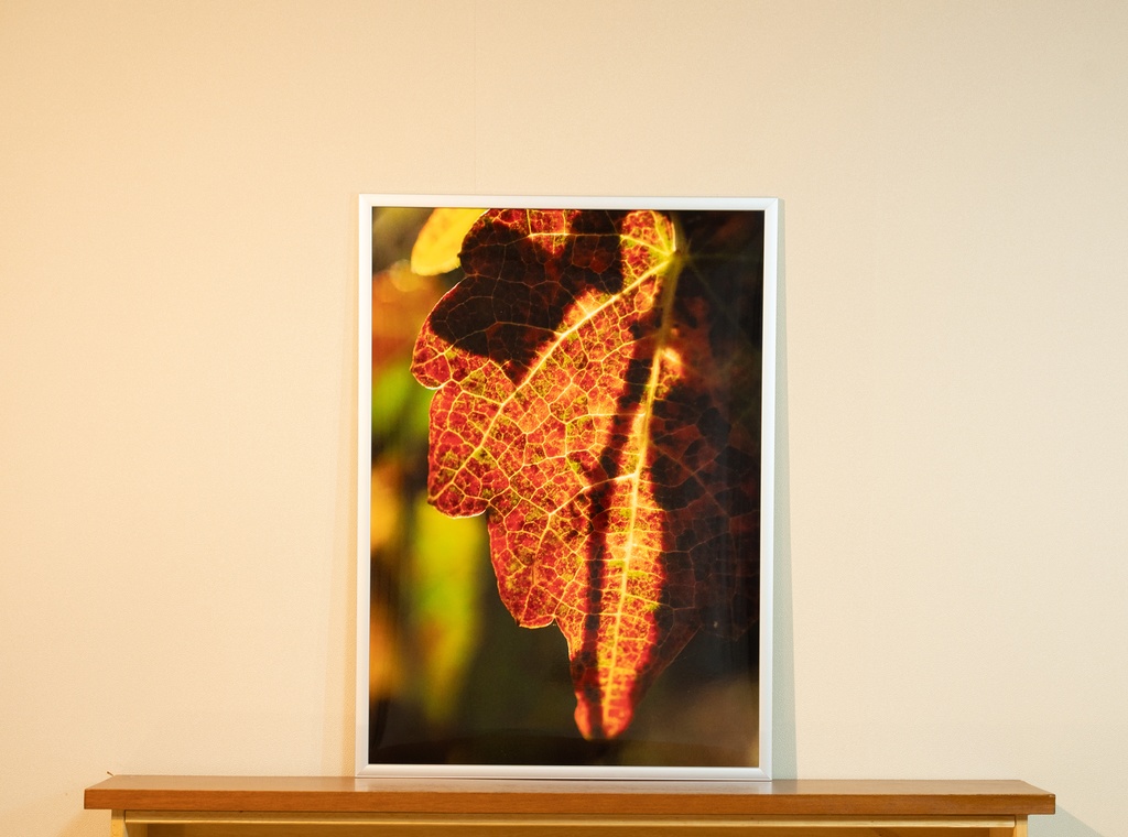 「蔦ステンドグラス Ivy stained glass」アルミフレーム A2 (594X420mm) 2017年作成