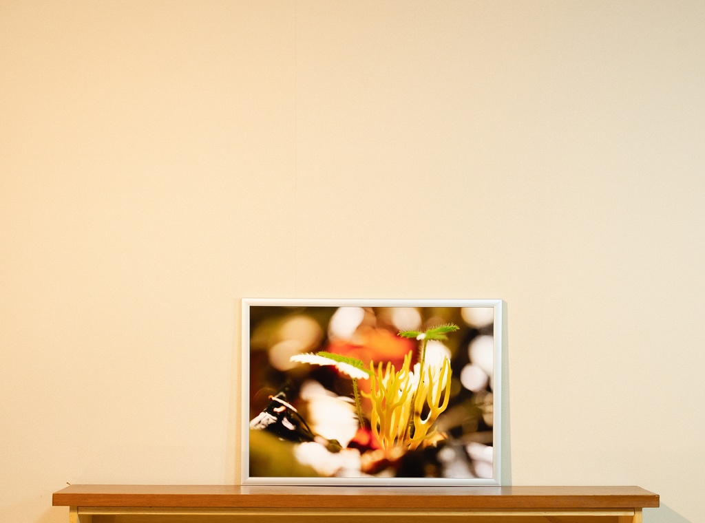 「ダンスフロア dance floor」 アルミフレーム A3 (420X297mm) 2017年作成