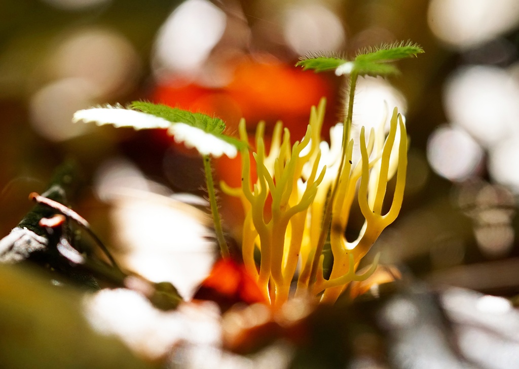 「ダンスフロア　dance floor」　アルミフレーム  　A3 (420X297mm)   2017年作成