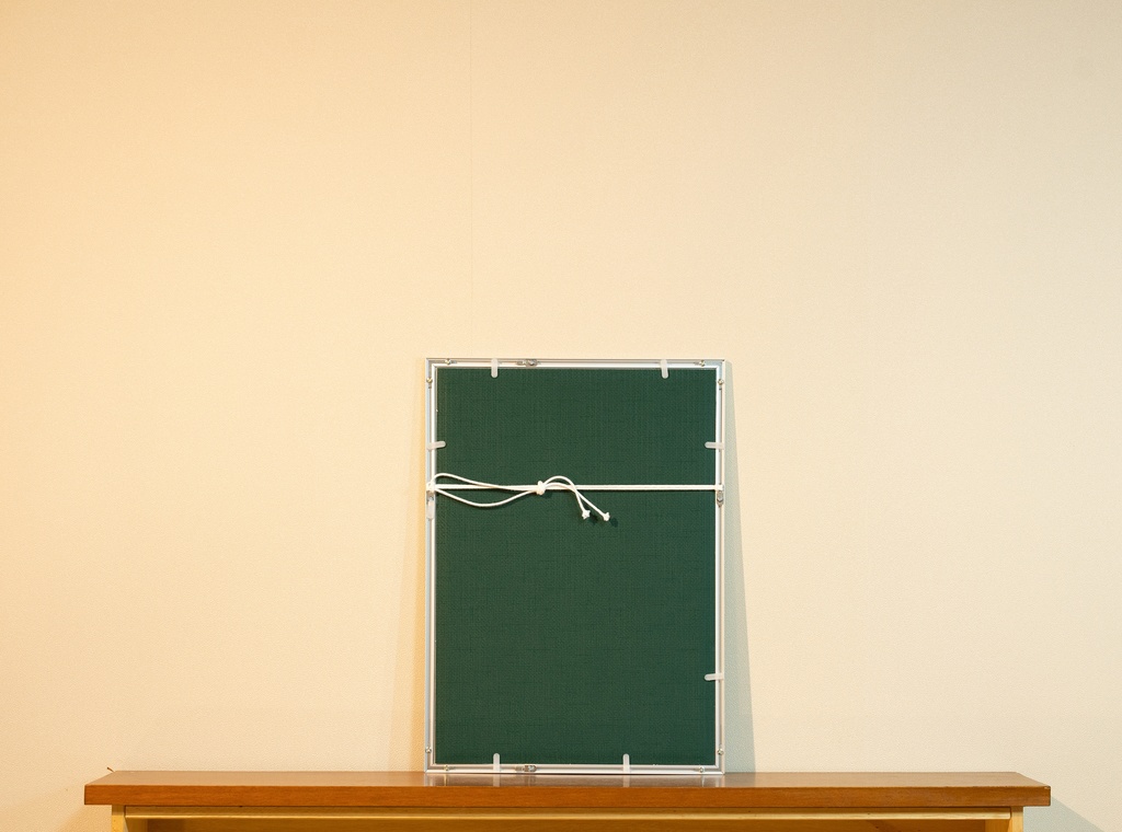 「秋の受け皿 Autumn saucer」 アルミフレーム A3 (420X297mm) 2017年作成