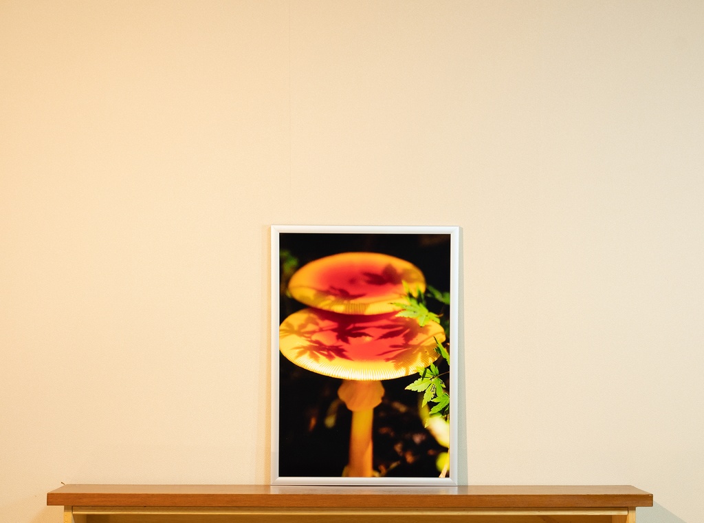 「秋の受け皿 Autumn saucer」 アルミフレーム A3 (420X297mm) 2017年作成